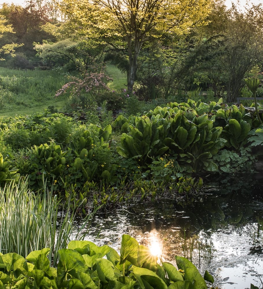 Garden photography at Stockton Bury Gardens