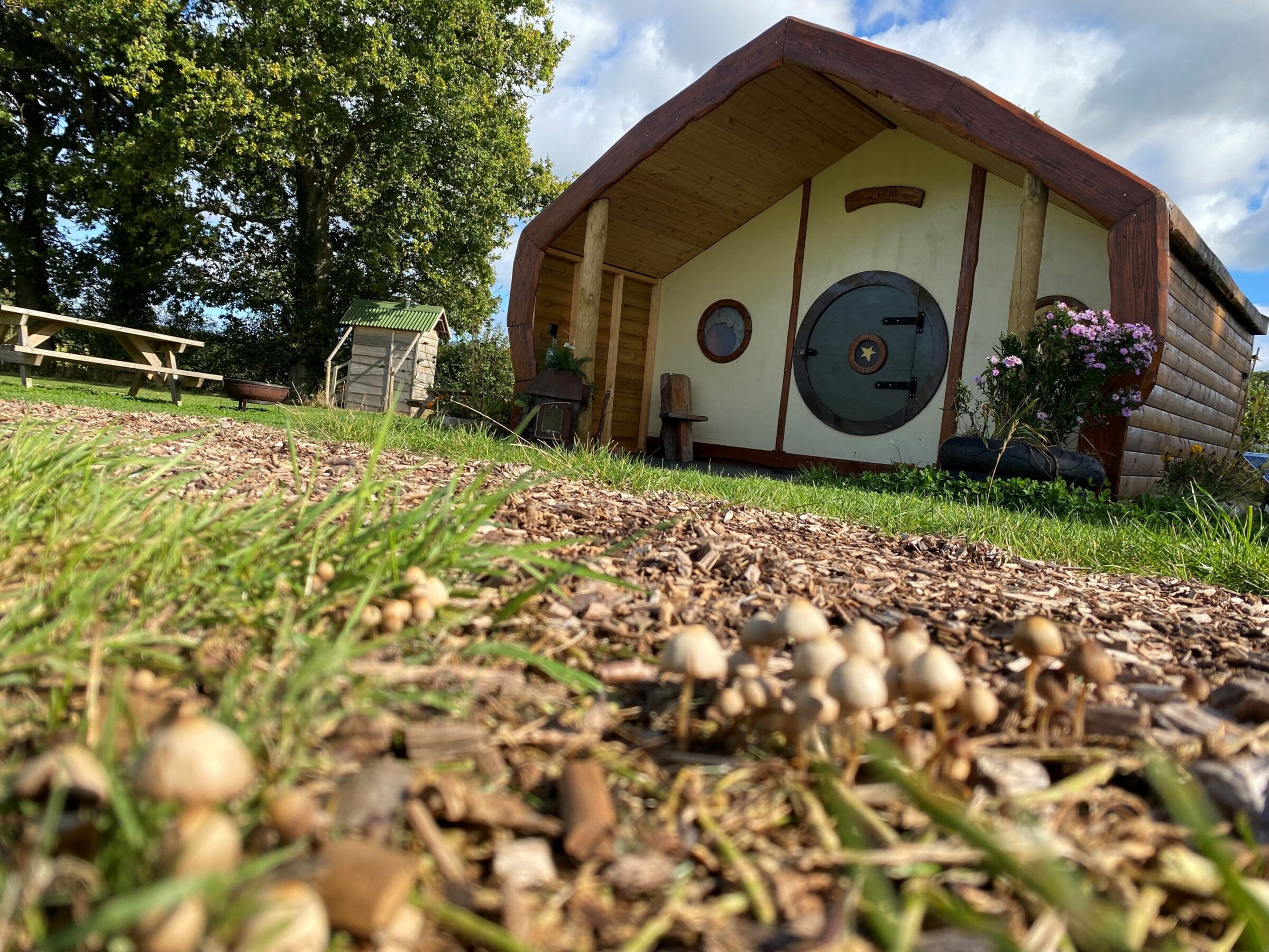 Cwtch Cabins & Camping