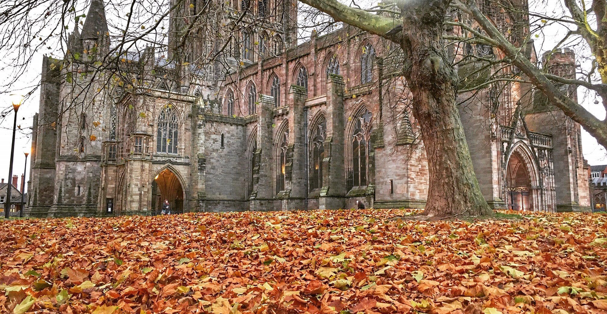 CATHEDRAL & LEAVES