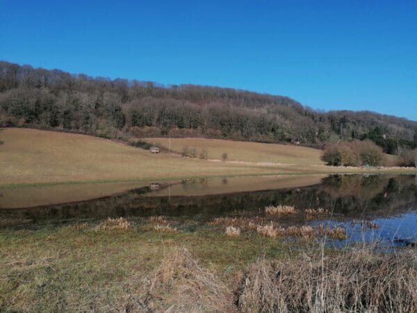 Exclusive Access Oak Tree Farm Tour » Eat Sleep Live Herefordshire