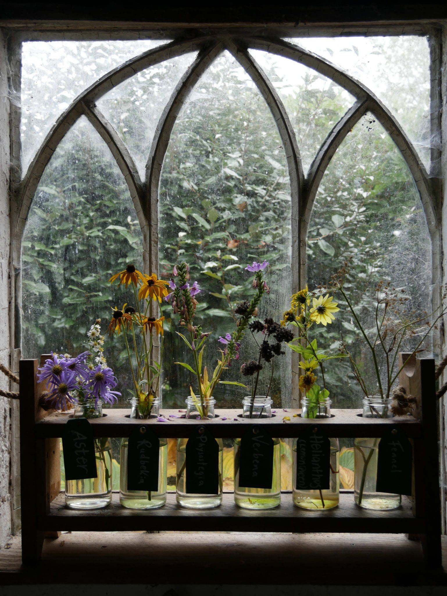 A display of wild flowers at Croft Castle, Herefordshire