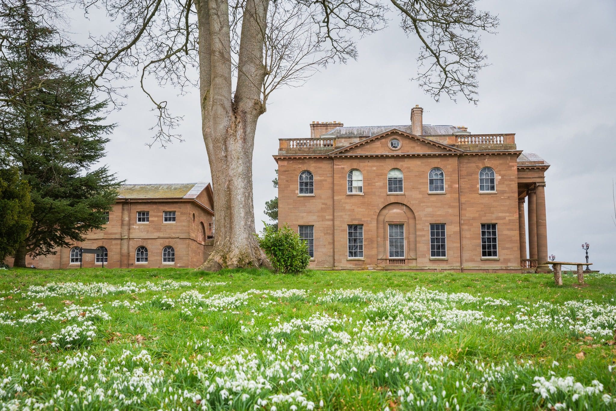 Snowdrops near the house at Berrington Hall, Herefordshire